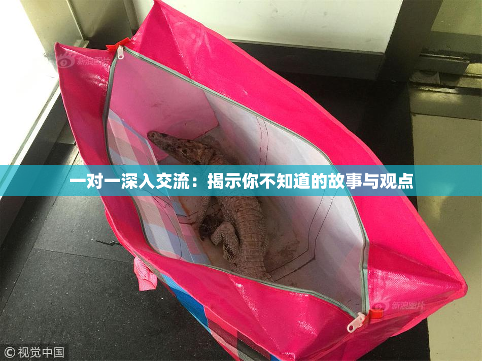 一对一深入交流：揭示你不知道的故事与观点