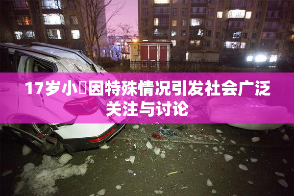 17岁小泬因特殊情况引发社会广泛关注与讨论