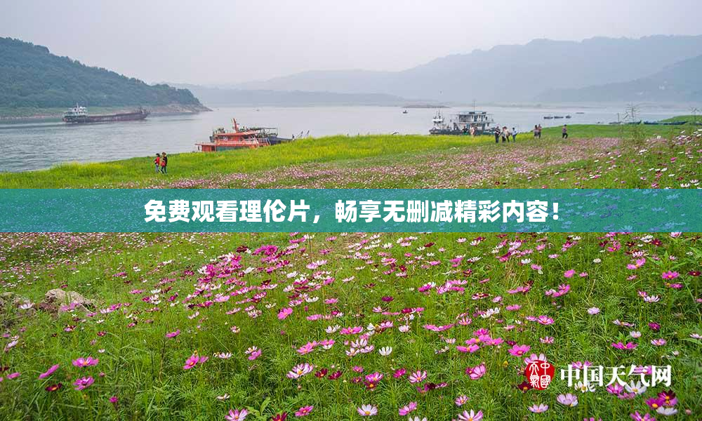 免费观看理伦片，畅享无删减精彩内容！