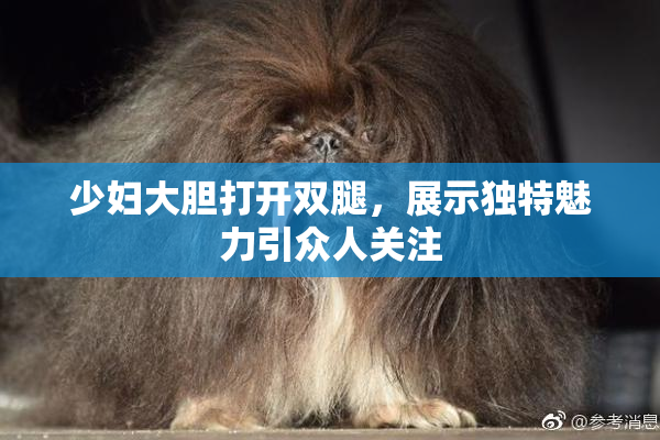 少妇大胆打开双腿，展示独特魅力引众人关注