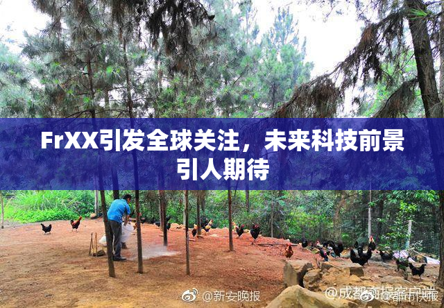 FrXX引发全球关注，未来科技前景引人期待