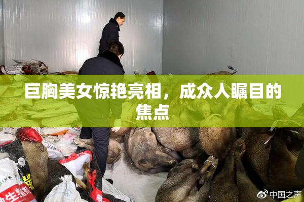 巨胸美女惊艳亮相，成众人瞩目的焦点