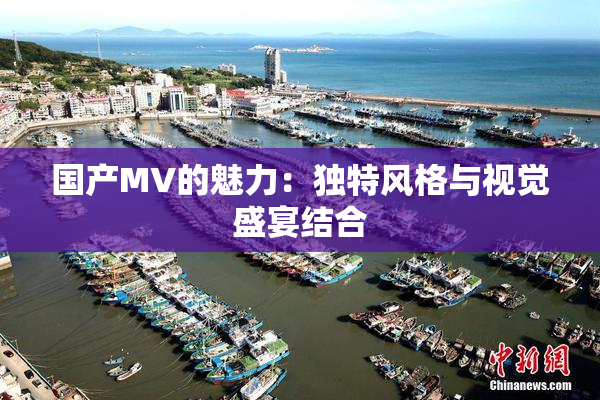 国产MV的魅力：独特风格与视觉盛宴结合