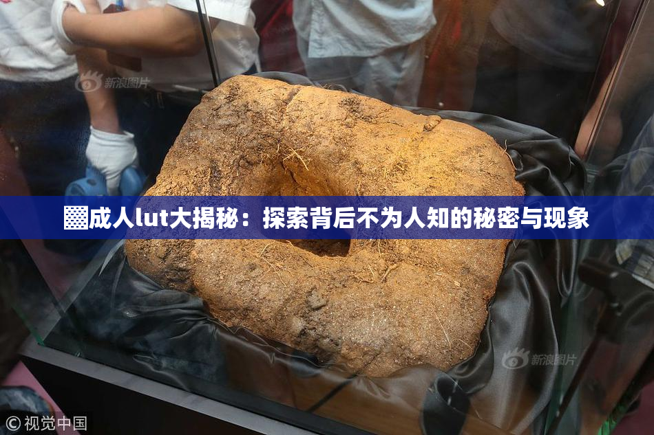 ▓成人lut大揭秘：探索背后不为人知的秘密与现象