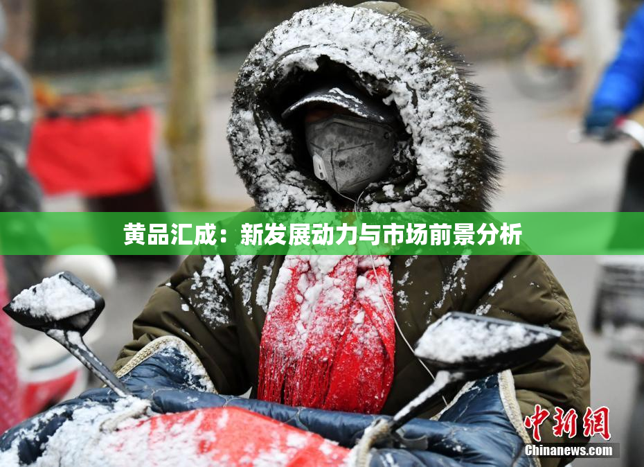 黄品汇成：新发展动力与市场前景分析
