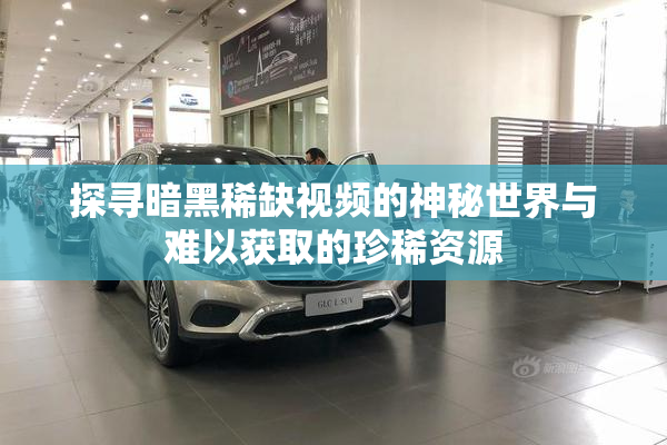 探寻暗黑稀缺视频的神秘世界与难以获取的珍稀资源