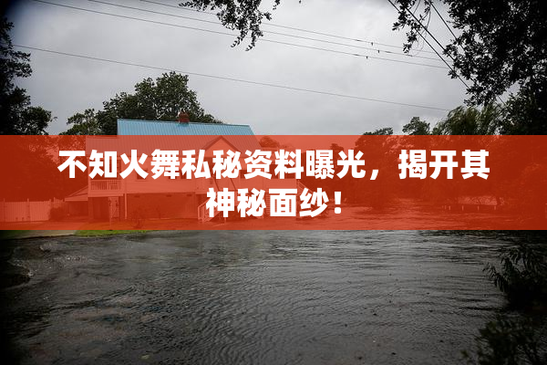 不知火舞私秘资料曝光，揭开其神秘面纱！