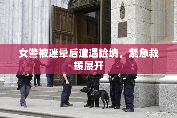 女警被迷晕后遭遇险境，紧急救援展开