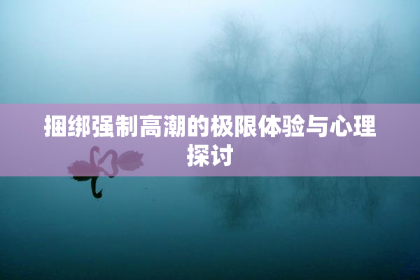 捆绑强制高潮的极限体验与心理探讨
