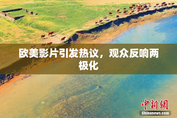 欧美影片引发热议，观众反响两极化