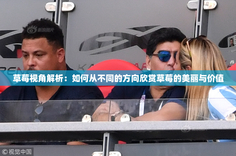 草莓视角解析：如何从不同的方向欣赏草莓的美丽与价值