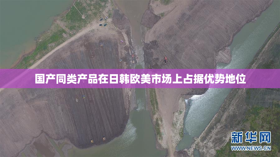国产同类产品在日韩欧美市场上占据优势地位