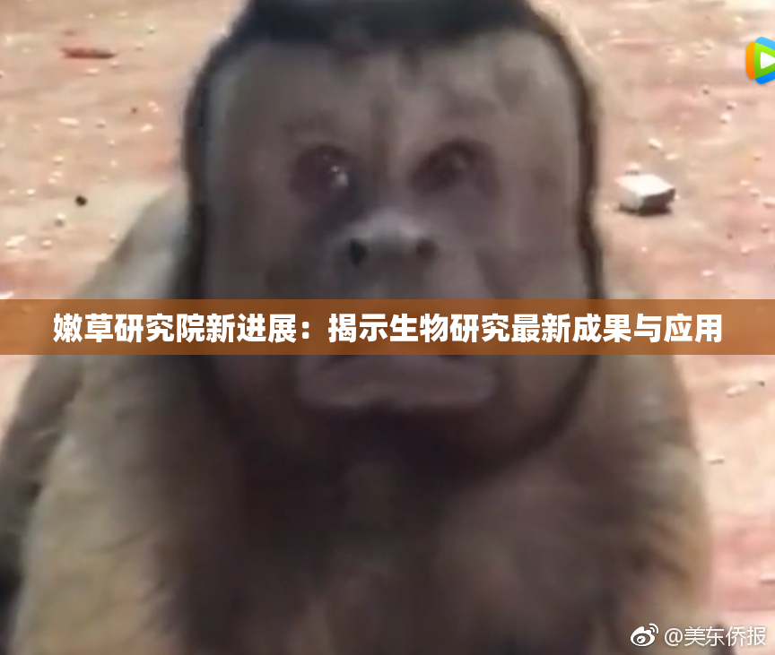 嫩草研究院新进展：揭示生物研究最新成果与应用
