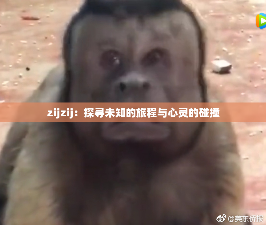zijzij：探寻未知的旅程与心灵的碰撞