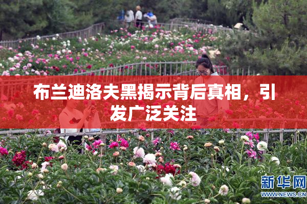 布兰迪洛夫黑揭示背后真相，引发广泛关注