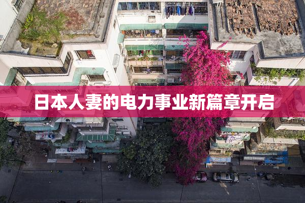 日本人妻的电力事业新篇章开启