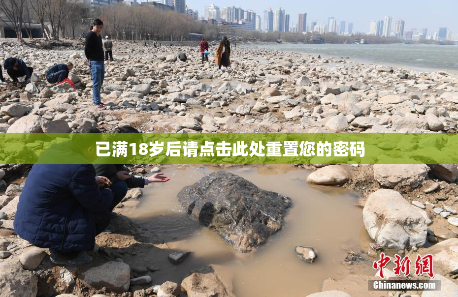 已满18岁后请点击此处重置您的密码