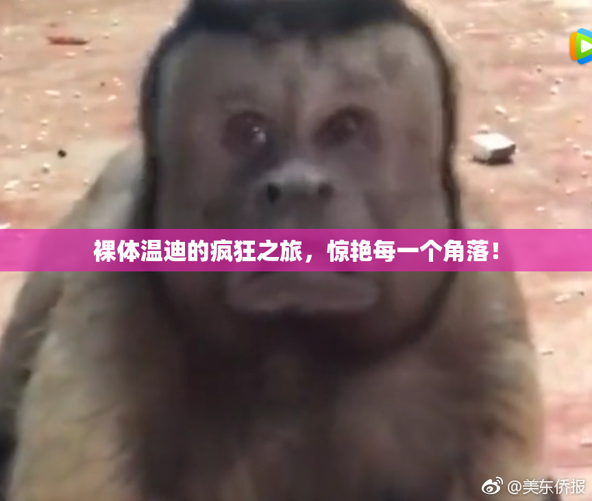 裸体温迪的疯狂之旅，惊艳每一个角落！