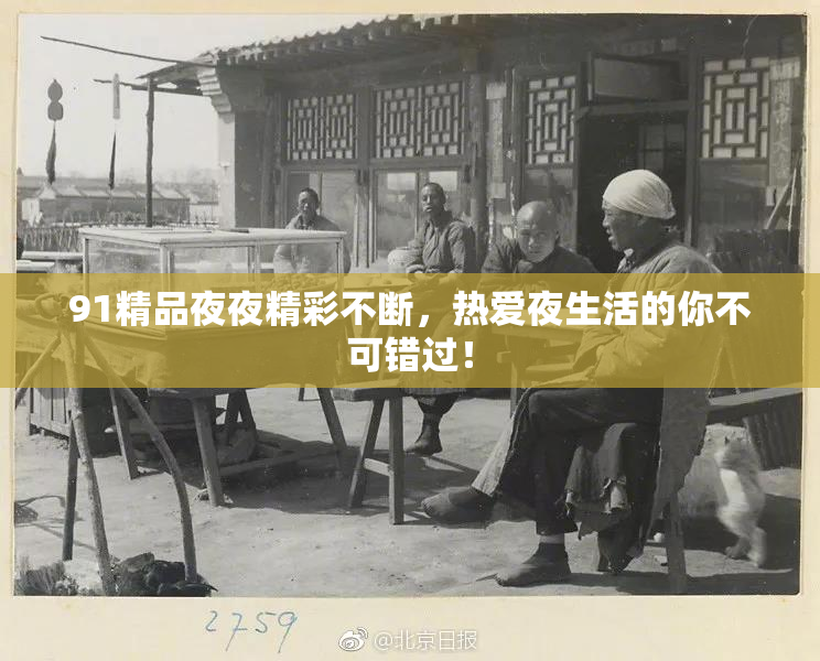 91精品夜夜精彩不断，热爱夜生活的你不可错过！