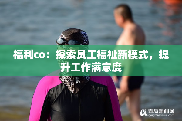 福利co：探索员工福祉新模式，提升工作满意度