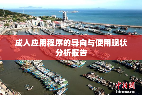 成人应用程序的导向与使用现状分析报告