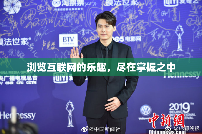 浏览互联网的乐趣，尽在掌握之中