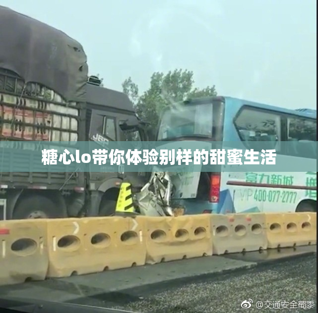 糖心lo带你体验别样的甜蜜生活