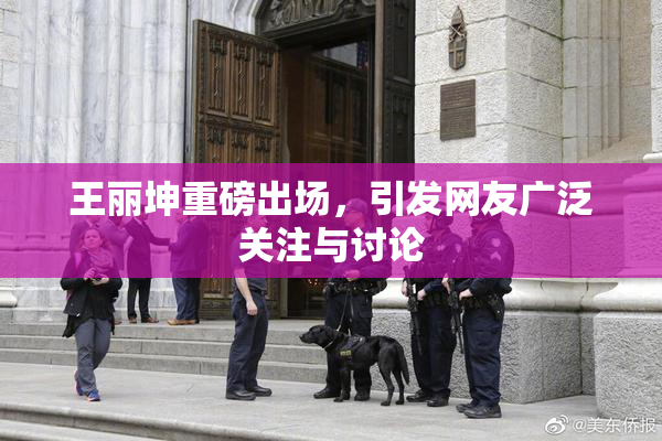 王丽坤重磅出场，引发网友广泛关注与讨论