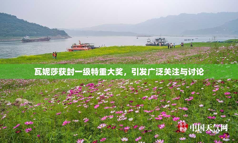 瓦妮莎获封一级特重大奖，引发广泛关注与讨论
