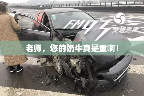 老师，您的奶牛真是重啊！