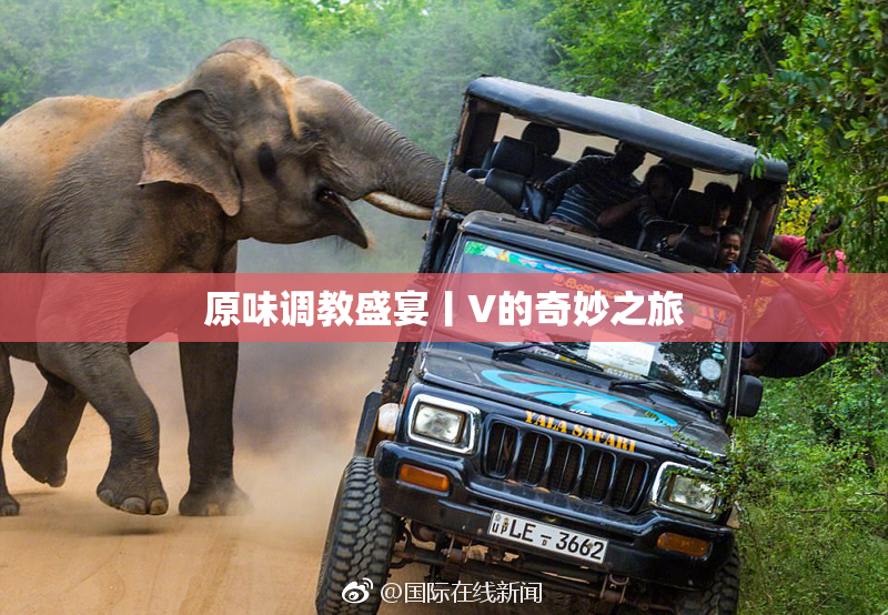原味调教盛宴丨V的奇妙之旅
