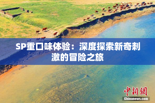 SP重口味体验：深度探索新奇刺激的冒险之旅