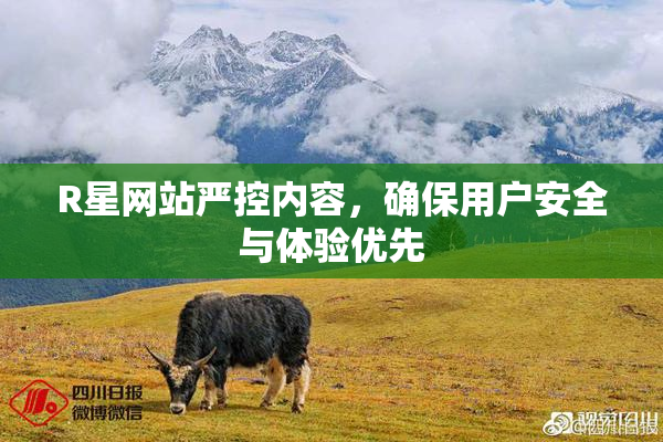 R星网站严控内容，确保用户安全与体验优先