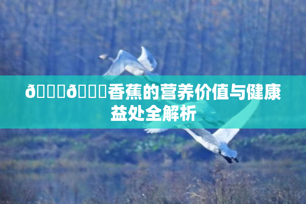 🔞🔞香蕉的营养价值与健康益处全解析