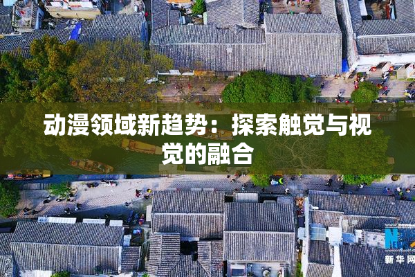 动漫领域新趋势：探索触觉与视觉的融合