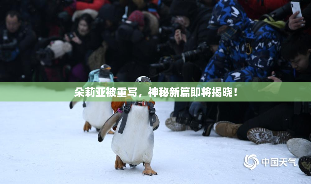 朵莉亚被重写，神秘新篇即将揭晓！
