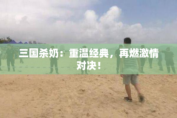 三国杀奶：重温经典，再燃激情对决！