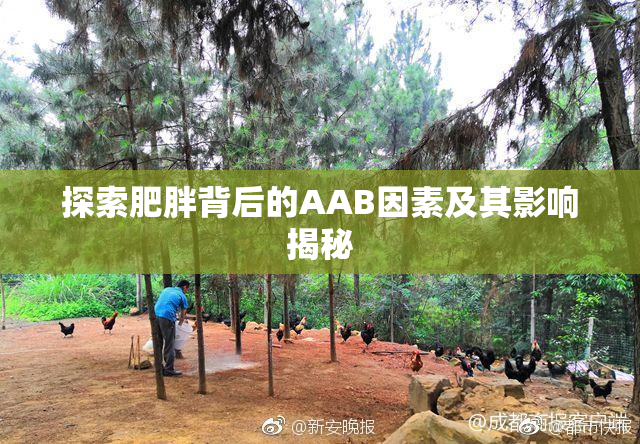 探索肥胖背后的AAB因素及其影响揭秘