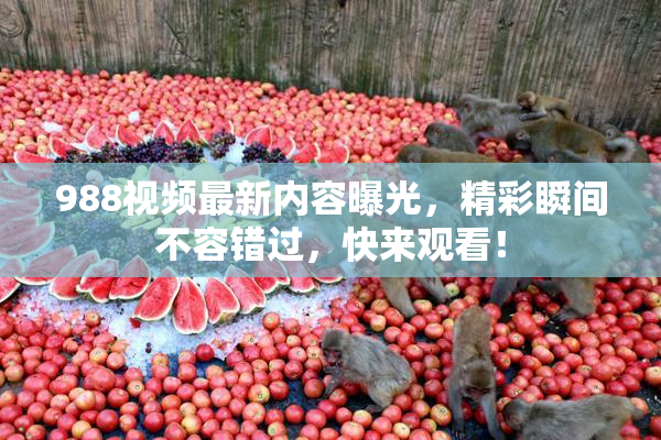 988视频最新内容曝光，精彩瞬间不容错过，快来观看！