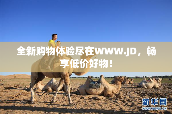 全新购物体验尽在WWW.JD，畅享低价好物！