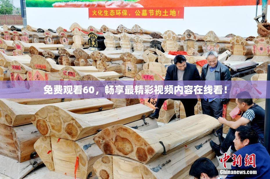 免费观看60，畅享最精彩视频内容在线看！