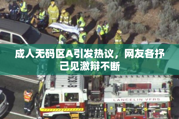 成人无码区A引发热议，网友各抒己见激辩不断