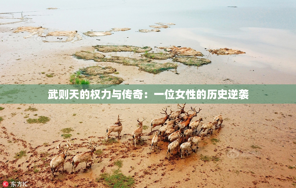 武则天的权力与传奇：一位女性的历史逆袭