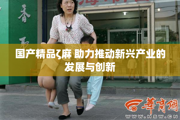 国产精品ζ麻 助力推动新兴产业的发展与创新