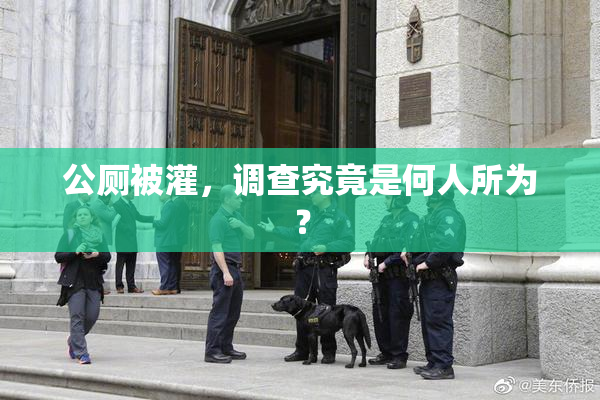 公厕被灌，调查究竟是何人所为？