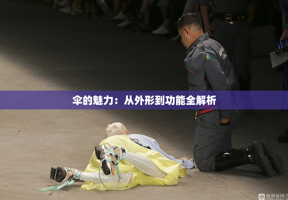 伞的魅力：从外形到功能全解析
