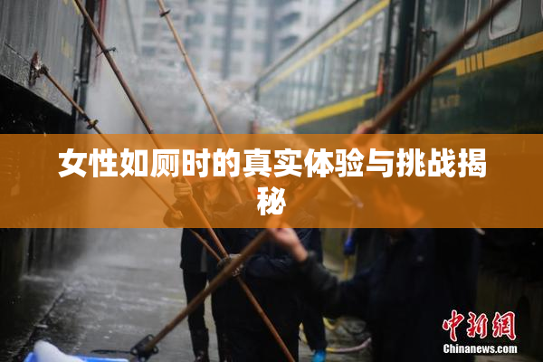 女性如厕时的真实体验与挑战揭秘