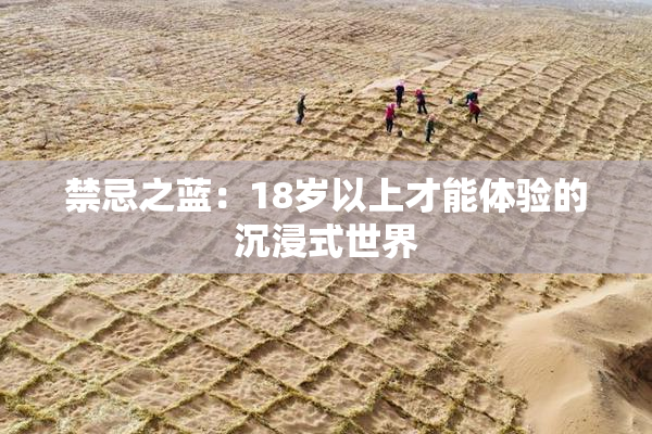 禁忌之蓝：18岁以上才能体验的沉浸式世界