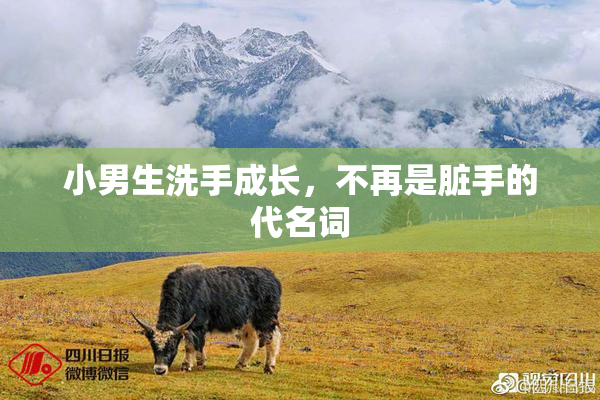 小男生洗手成长，不再是脏手的代名词