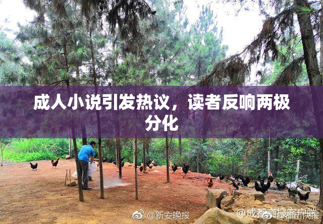 成人小说引发热议，读者反响两极分化